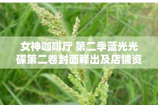 女神咖啡厅 第二季蓝光光碟第二卷封面释出及店铺资讯