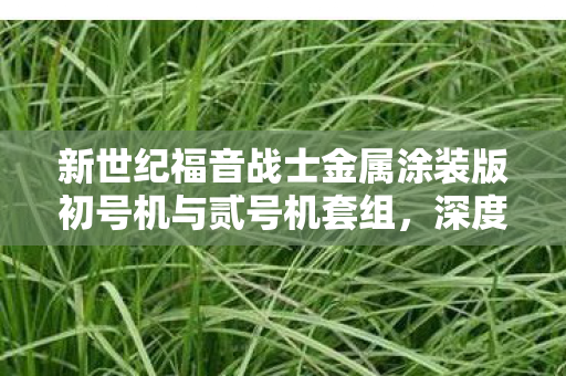 新世纪福音战士金属涂装版初号机与贰号机套组，深度解析