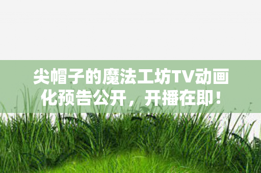 尖帽子的魔法工坊TV动画化预告公开，开播在即！