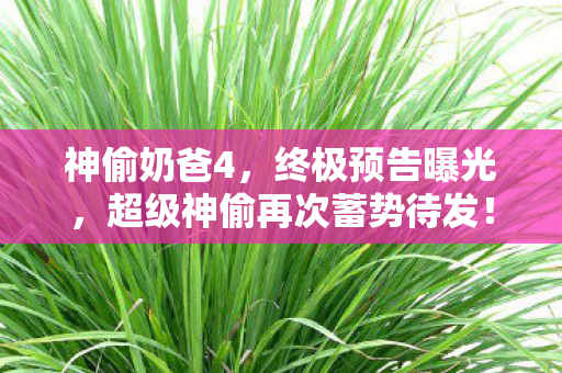 神偷奶爸4，终极预告曝光，超级神偷再次蓄势待发！