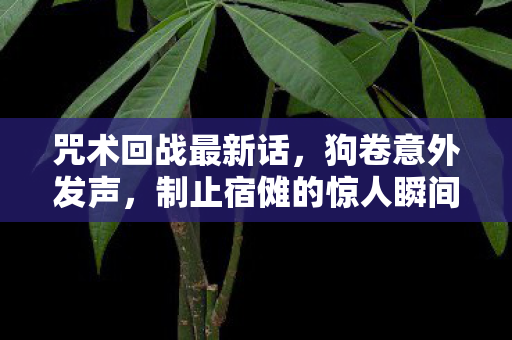 咒术回战最新话，狗卷意外发声，制止宿傩的惊人瞬间