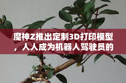 魔神Z推出定制3D打印模型，人人成为机器人驾驶员的时代来临