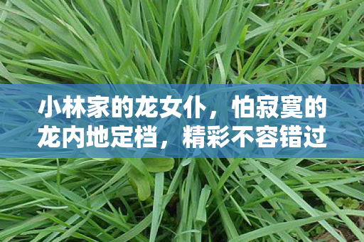 小林家的龙女仆，怕寂寞的龙内地定档，精彩不容错过！