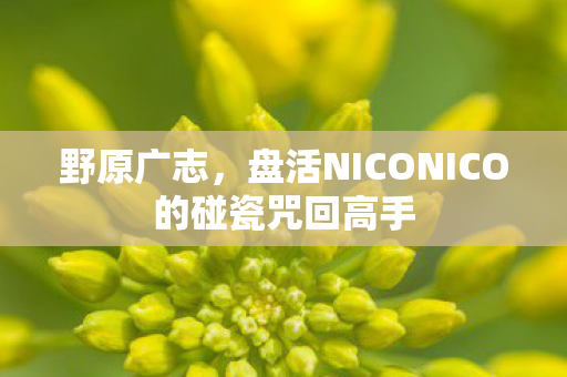 野原广志，盘活NICONICO的碰瓷咒回高手