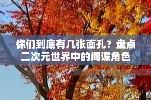 你们到底有几张面孔？盘点二次元世界中的间谍角色