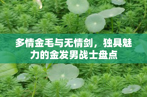 多情金毛与无情剑，独具魅力的金发男战士盘点