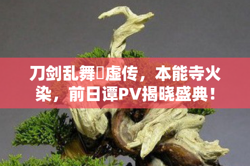 刀剑乱舞廻虚传，本能寺火染，前日谭PV揭晓盛典！
