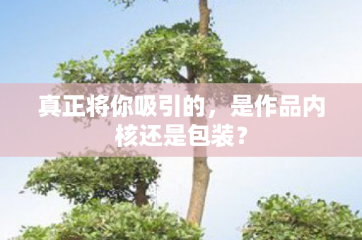 真正将你吸引的，是作品内核还是包装？