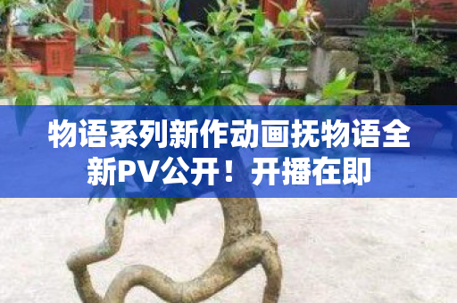 物语系列新作动画抚物语全新PV公开！开播在即