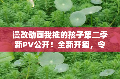 漫改动画我推的孩子第二季新PV公开！全新开播，令人期待！