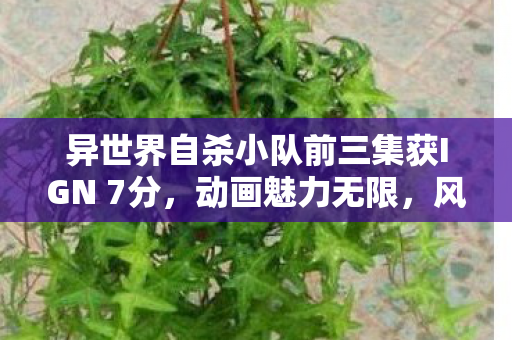 异世界自杀小队前三集获IGN 7分，动画魅力无限，风格超赞！