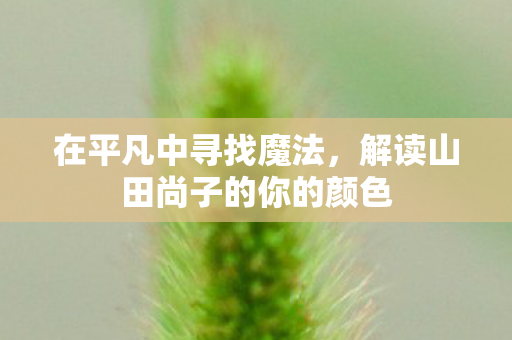 在平凡中寻找魔法，解读山田尚子的你的颜色