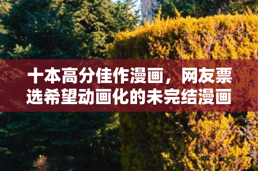 十本高分佳作漫画，网友票选希望动画化的未完结漫画TOP10