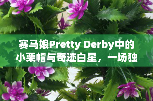 赛马娘Pretty Derby中的小栗帽与奇迹白星，一场独特的贩售盛宴