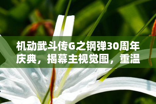 机动武斗传G之钢弹30周年庆典，揭幕主视觉图，重温辉煌历程