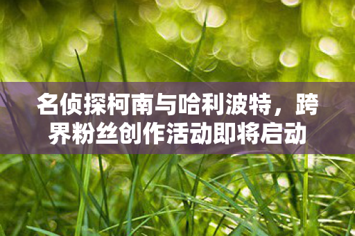 名侦探柯南与哈利波特，跨界粉丝创作活动即将启动