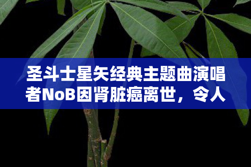 圣斗士星矢经典主题曲演唱者NoB因肾脏癌离世，令人痛惜