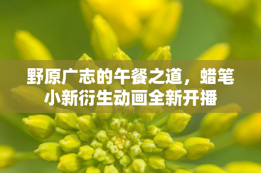 野原广志的午餐之道，蜡笔小新衍生动画全新开播