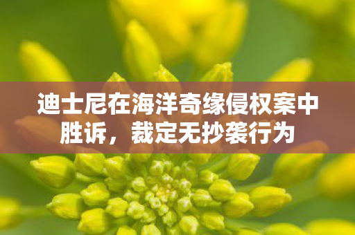 迪士尼在海洋奇缘侵权案中胜诉，裁定无抄袭行为