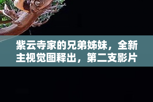 紫云寺家的兄弟姊妹，全新主视觉图释出，第二支影片即将揭晓