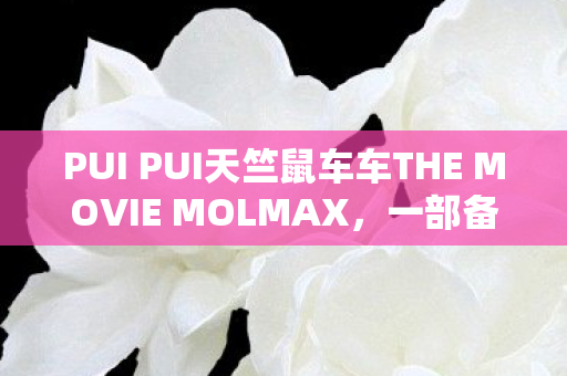 PUI PUI天竺鼠车车THE MOVIE MOLMAX，一部备受瞩目的电影公开信息