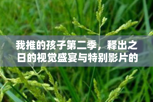 我推的孩子第二季，释出之日的视觉盛宴与特别影片的惊喜