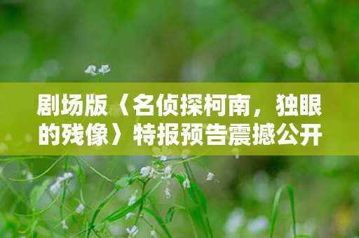 剧场版〈名侦探柯南，独眼的残像〉特报预告震撼公开！