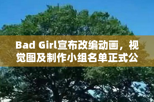 Bad Girl宣布改编动画，视觉图及制作小组名单正式公开