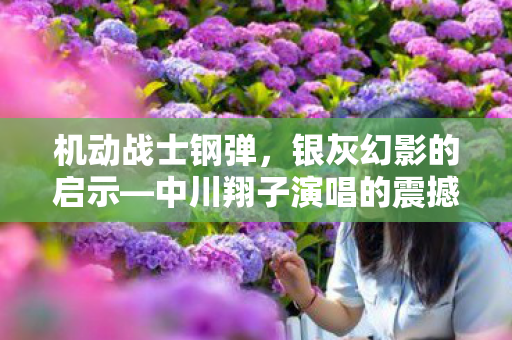 机动战士钢弹，银灰幻影的启示—中川翔子演唱的震撼之作