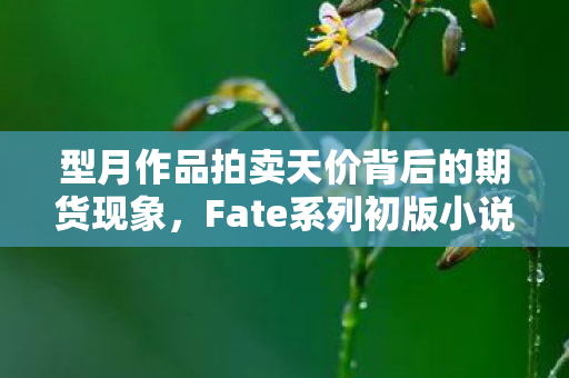 型月作品拍卖天价背后的期货现象，Fate系列初版小说拍卖突破千万日元大关