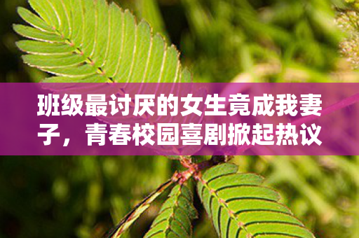 班级最讨厌的女生竟成我妻子，青春校园喜剧掀起热议狂潮