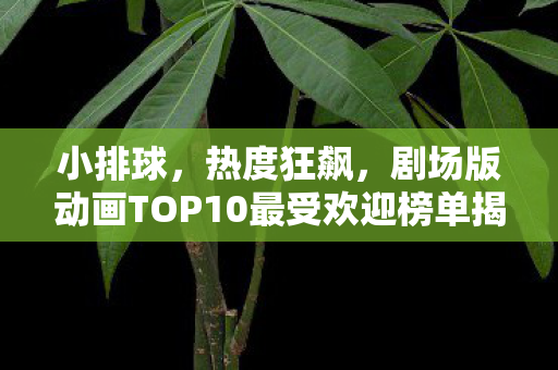 小排球，热度狂飙，剧场版动画TOP10最受欢迎榜单揭晓！