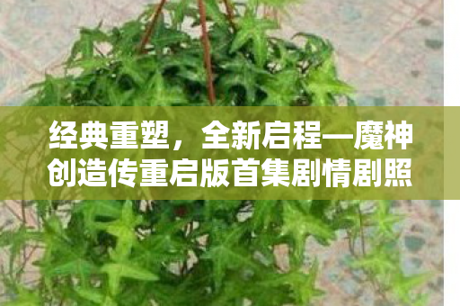 经典重塑，全新启程—魔神创造传重启版首集剧情剧照震撼发布！