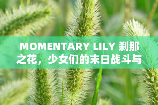 MOMENTARY LILY 刹那之花，少女们的末日战斗与抉择
