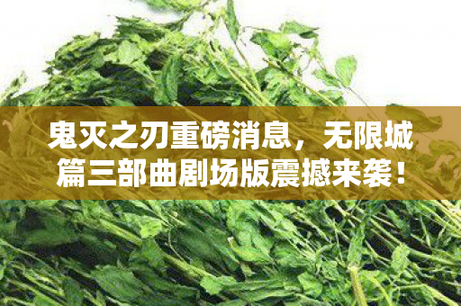 鬼灭之刃重磅消息，无限城篇三部曲剧场版震撼来袭！