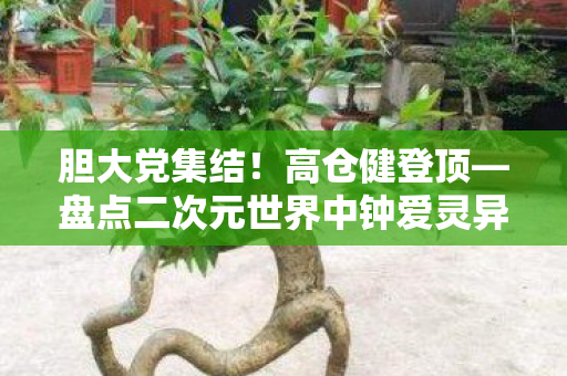 胆大党集结！高仓健登顶—盘点二次元世界中钟爱灵异事件的神秘角色