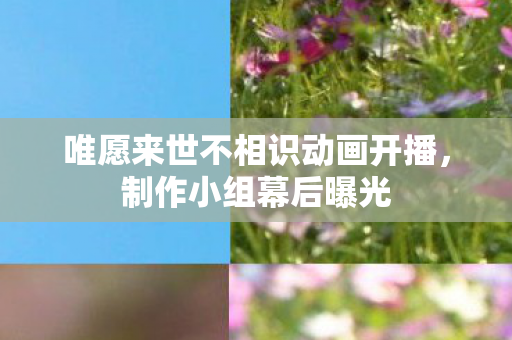 唯愿来世不相识动画开播，制作小组幕后曝光