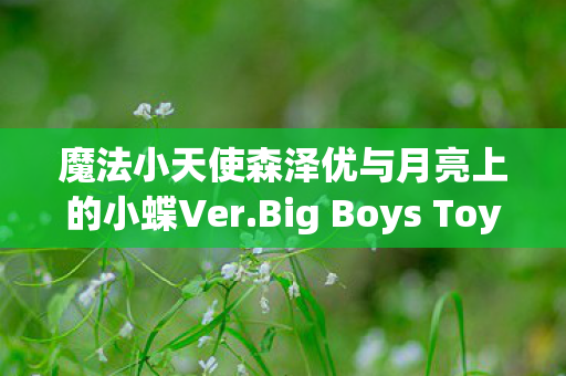魔法小天使森泽优与月亮上的小蝶Ver.Big Boys Toys的新篇章