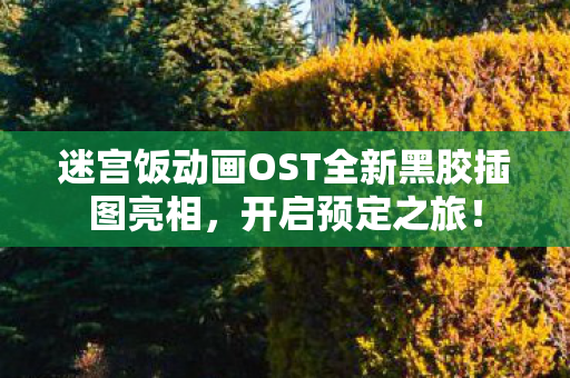 迷宫饭动画OST全新黑胶插图亮相，开启预定之旅！