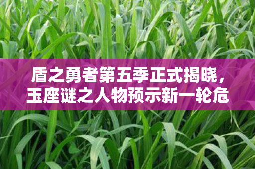 盾之勇者第五季正式揭晓，玉座谜之人物预示新一轮危机来临