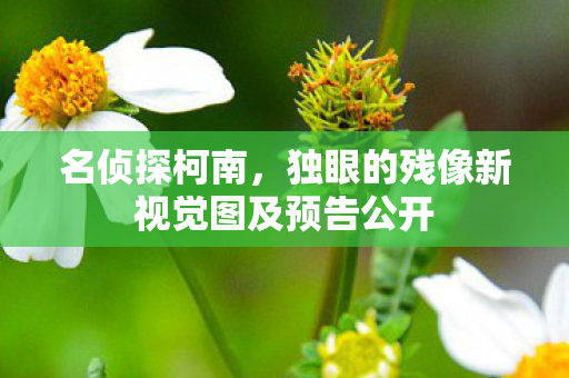 名侦探柯南，独眼的残像新视觉图及预告公开