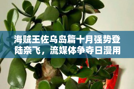 海贼王佐乌岛篇十月强势登陆奈飞，流媒体争夺日漫用户进入白热化阶段