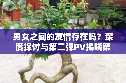 男女之间的友情存在吗？深度探讨与第二弹PV揭晓第二弹PV开播！
