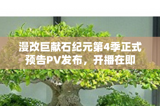 漫改巨献石纪元第4季正式预告PV发布，开播在即