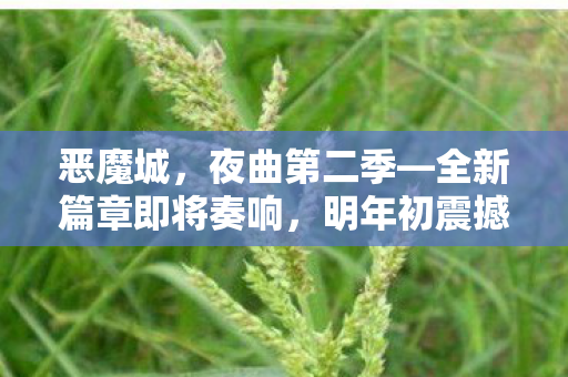 恶魔城，夜曲第二季—全新篇章即将奏响，明年初震撼开播！