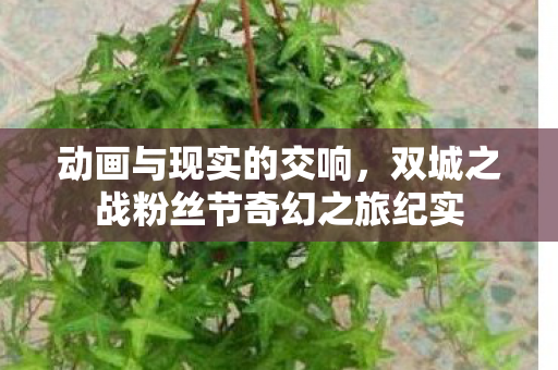 动画与现实的交响，双城之战粉丝节奇幻之旅纪实