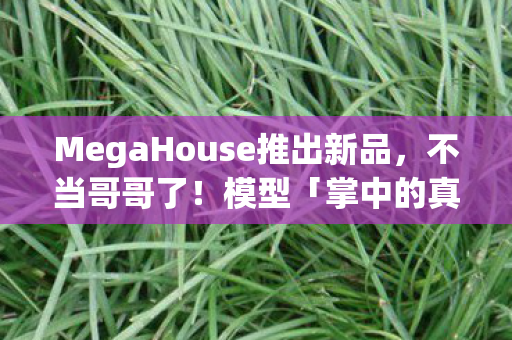 MegaHouse推出新品，不当哥哥了！模型「掌中的真寻酱」