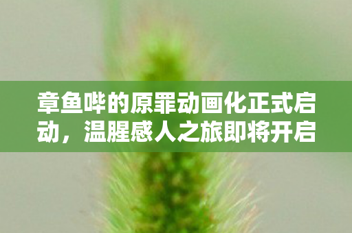 章鱼哔的原罪动画化正式启动，温腥感人之旅即将开启