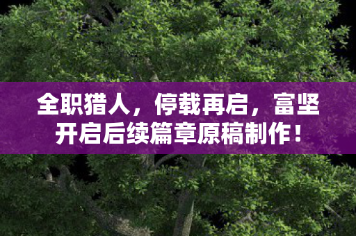 全职猎人，停载再启，富坚开启后续篇章原稿制作！