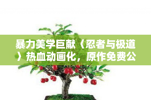 暴力美学巨献〈忍者与极道〉热血动画化，原作免费公开一周热烈庆祝